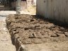 IMG_0266.JPG - 